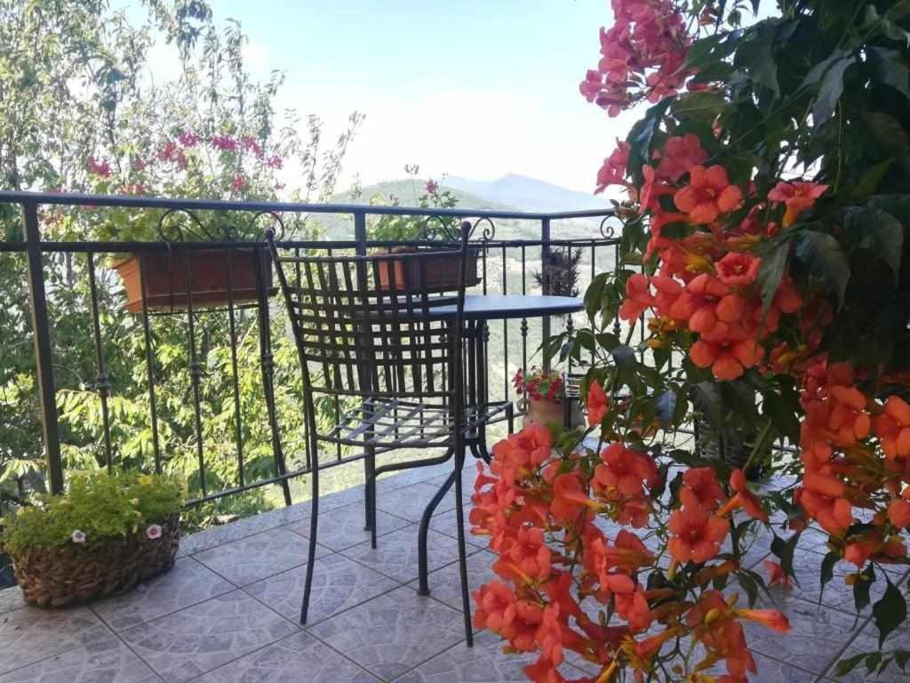 Agriturismo Al Pagan بينيا المظهر الخارجي الصورة