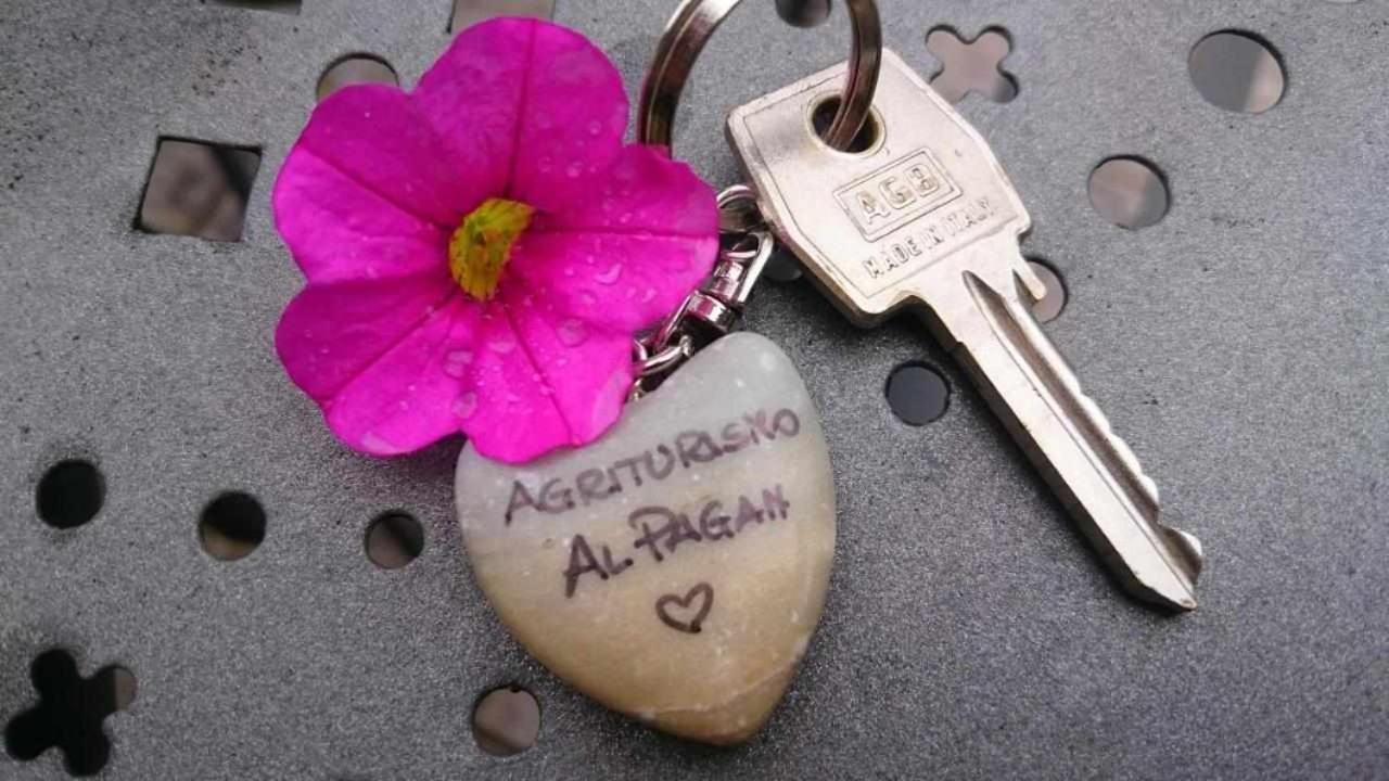 Agriturismo Al Pagan بينيا المظهر الخارجي الصورة