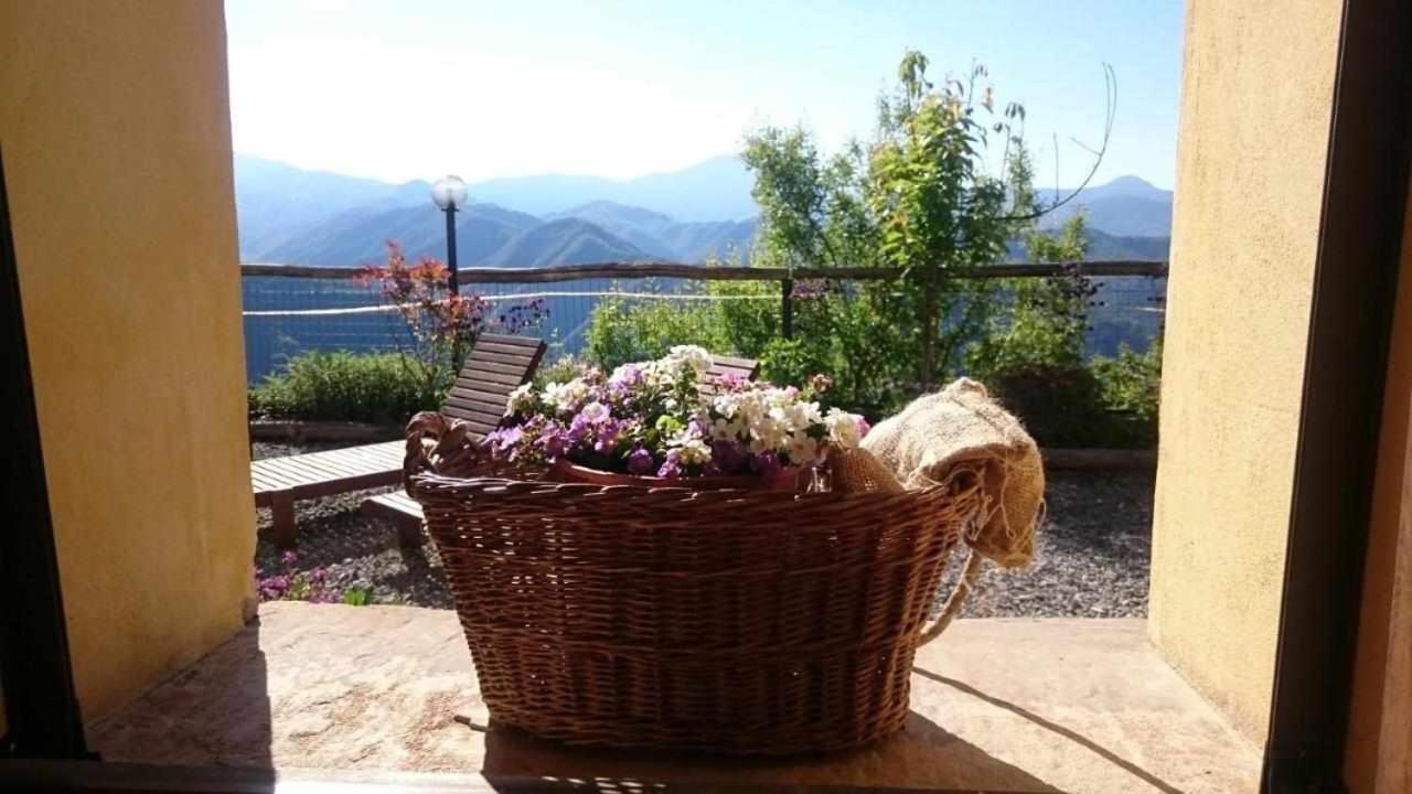 Agriturismo Al Pagan بينيا المظهر الخارجي الصورة