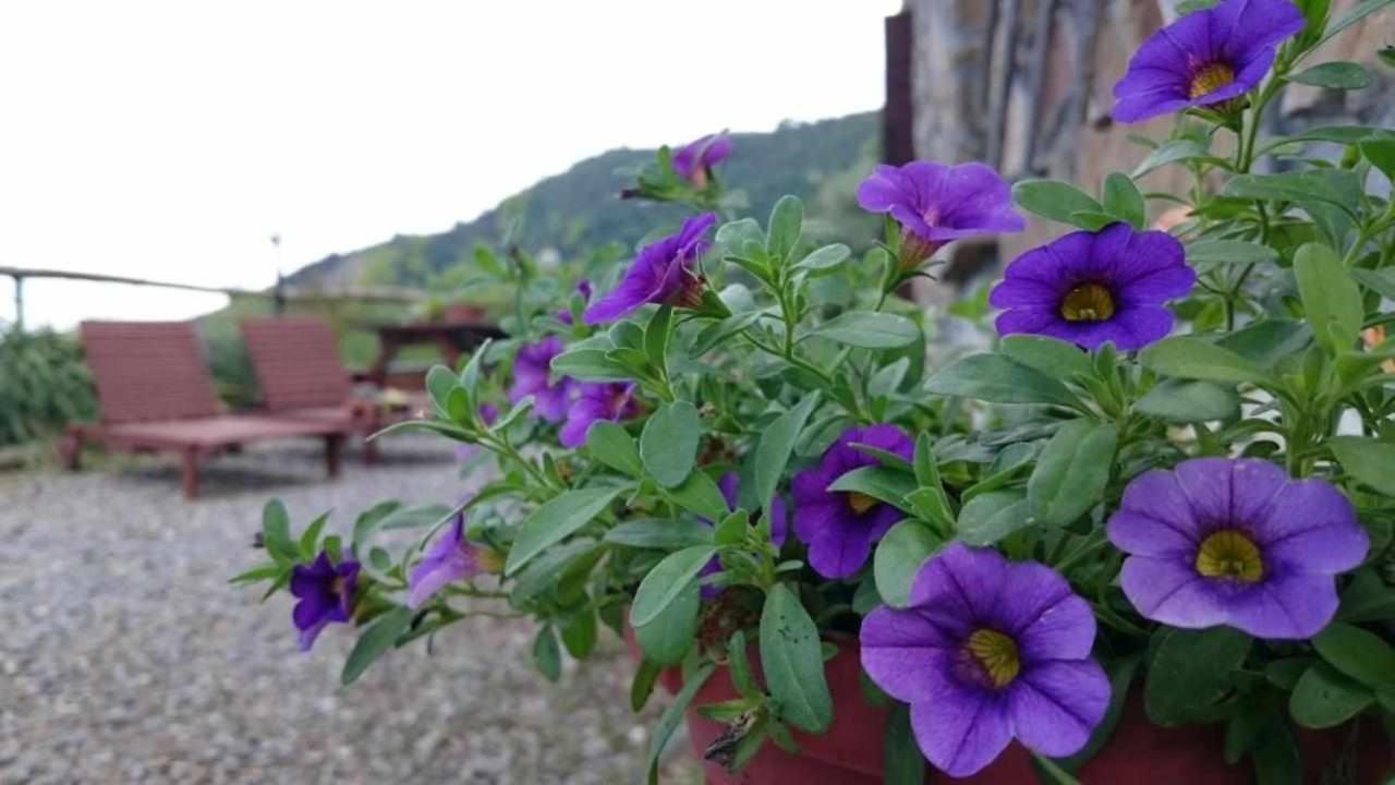 Agriturismo Al Pagan بينيا المظهر الخارجي الصورة